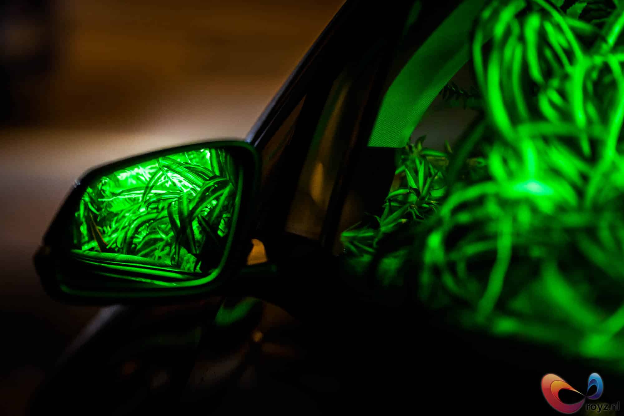 Neon groen in de autospiegel bij nacht; futuristische, mysterieuze bosachtige reflectie.