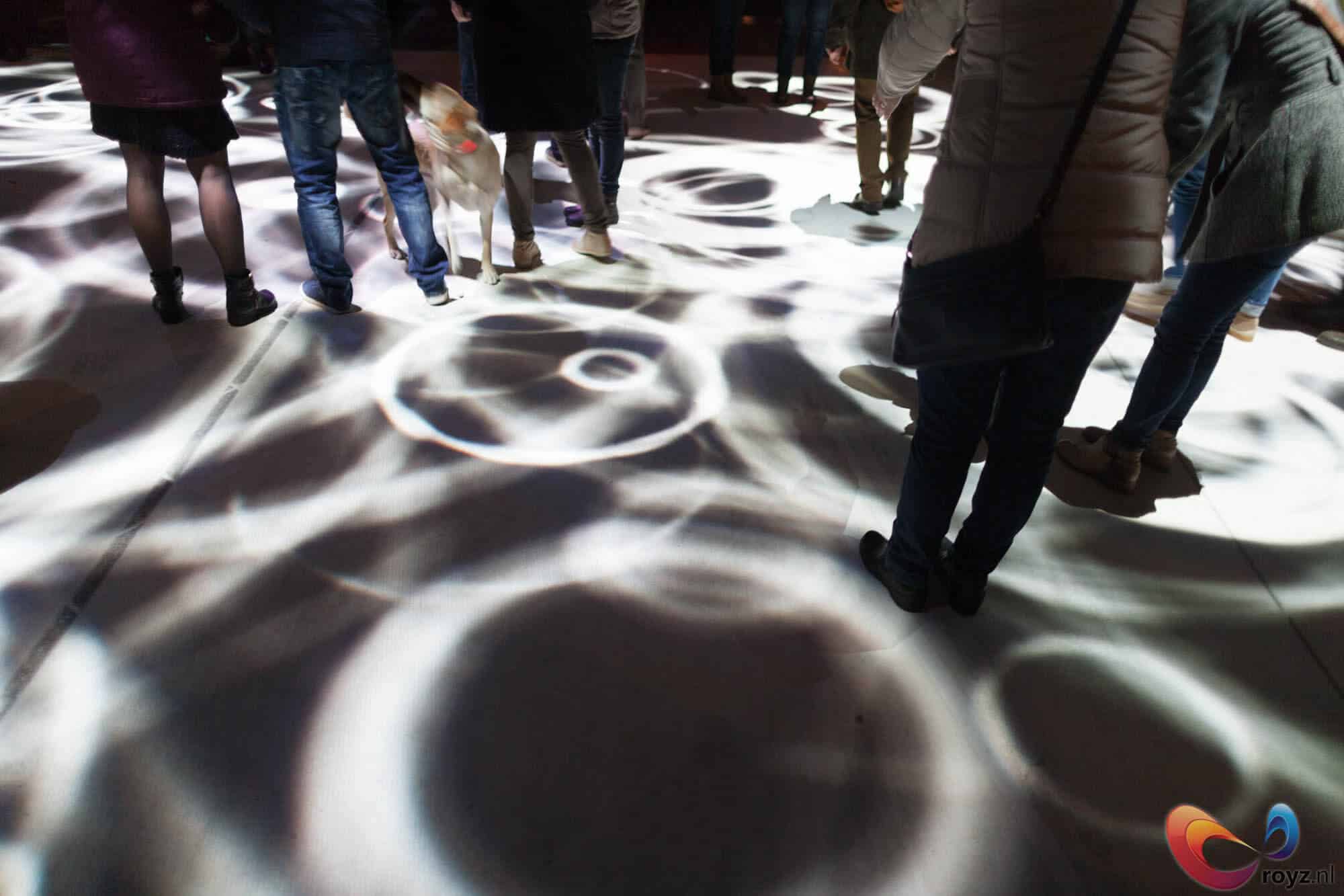 Vloerprojectie in Eindhoven met cirkelvormige patronen, publiek en een wandelende hond.