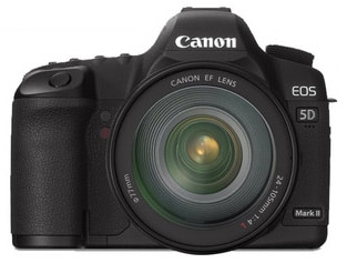 Bye Canon, Hello Sony... Mijn reis in 10 jaar fotograferen