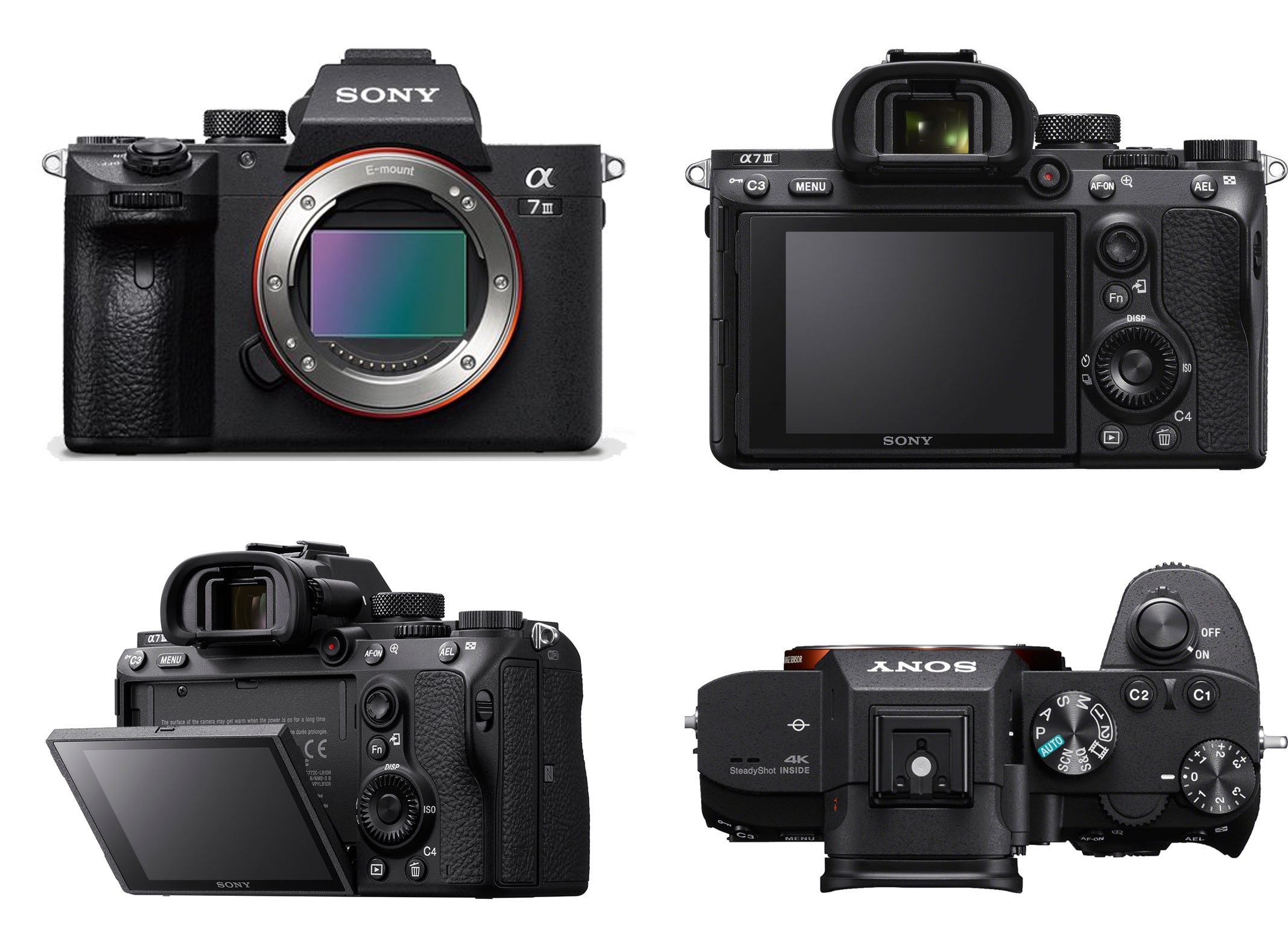 Bye Canon, Hello Sony... Mijn reis in 10 jaar fotograferen