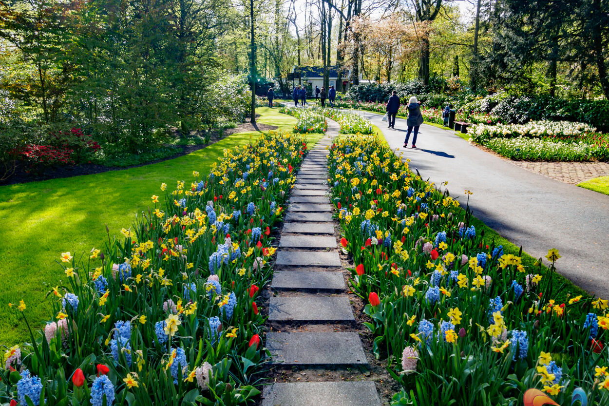 Bloemen fotograferen in de Keukenhof