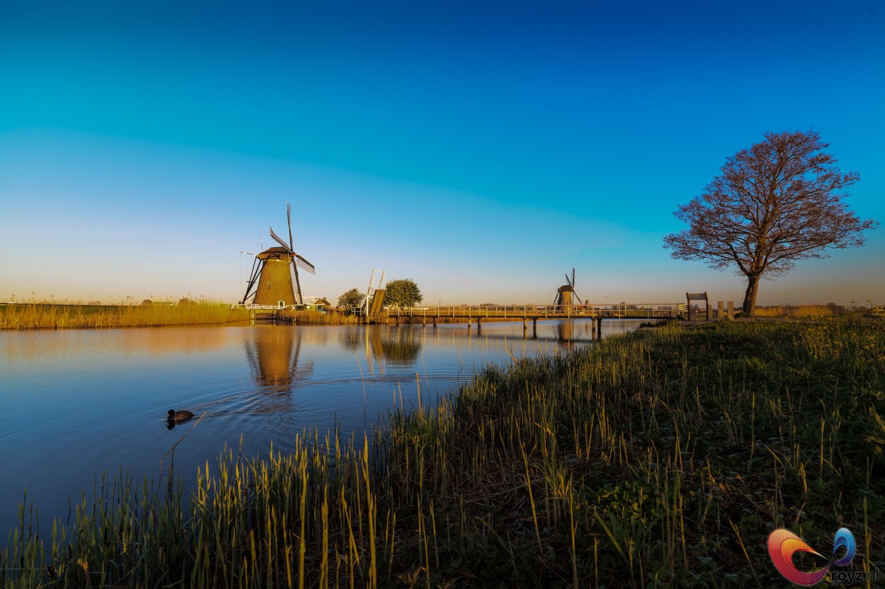 De ochtend tussen de Unesco molens van Kinderdijk