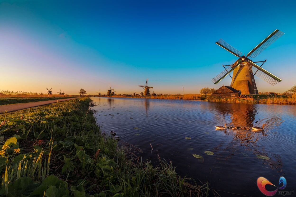 De ochtend tussen de Unesco molens van Kinderdijk