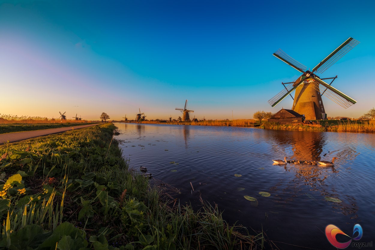De ochtend tussen de Unesco molens van Kinderdijk