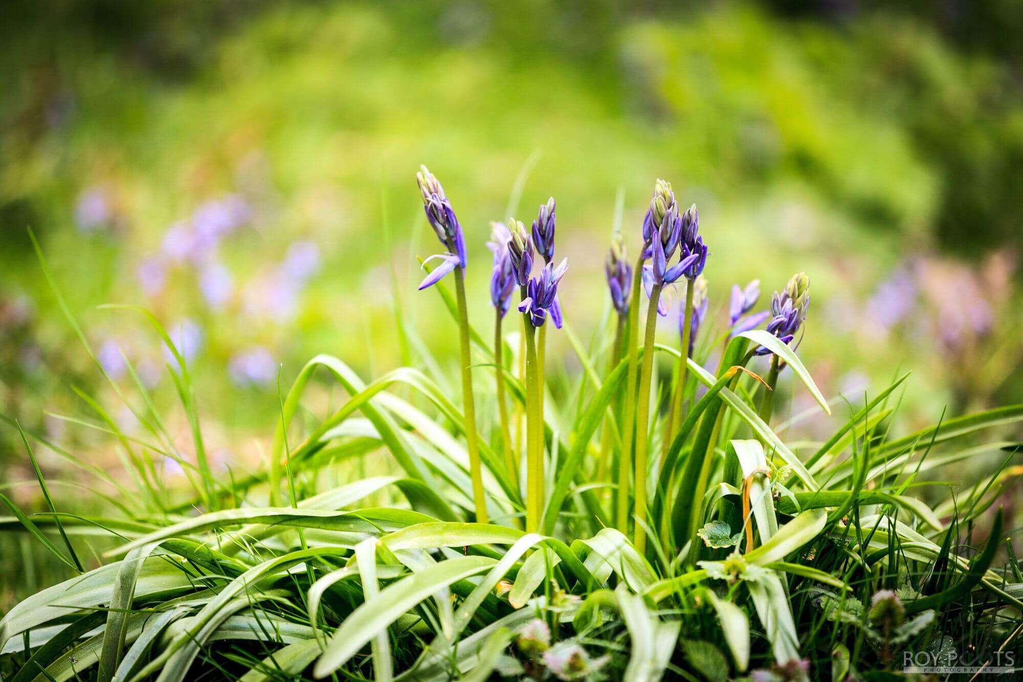 Natuurworkshop in Meijendel