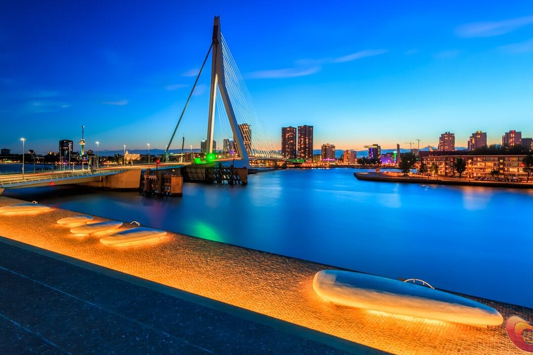 Het uitzicht op Rotterdam vanuit de Rijnhaven