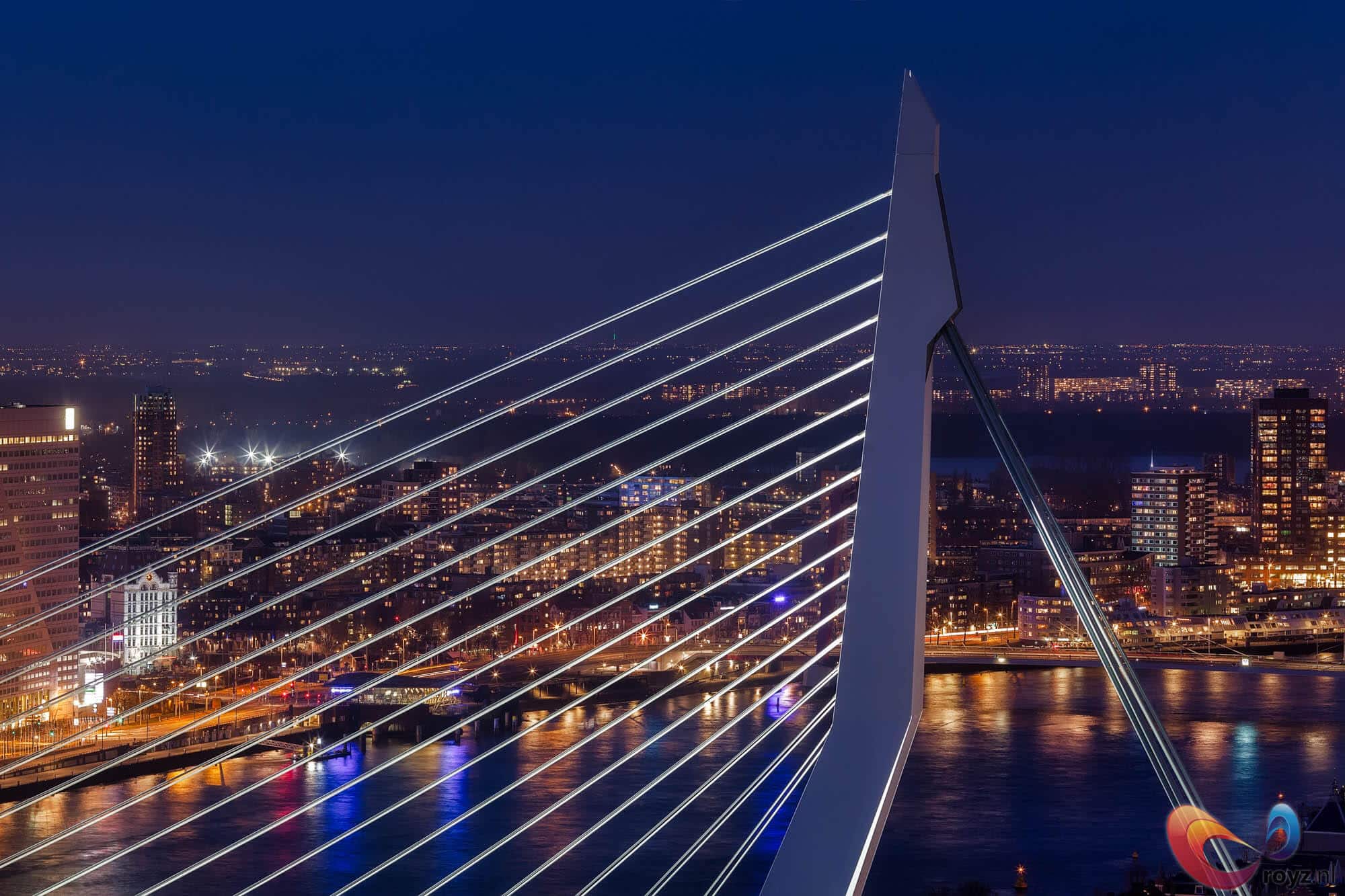 Rotterdam kabelbrug nacht: schuin witte pijler, elegante kabels, stadslichten weerspiegeld op rivier.