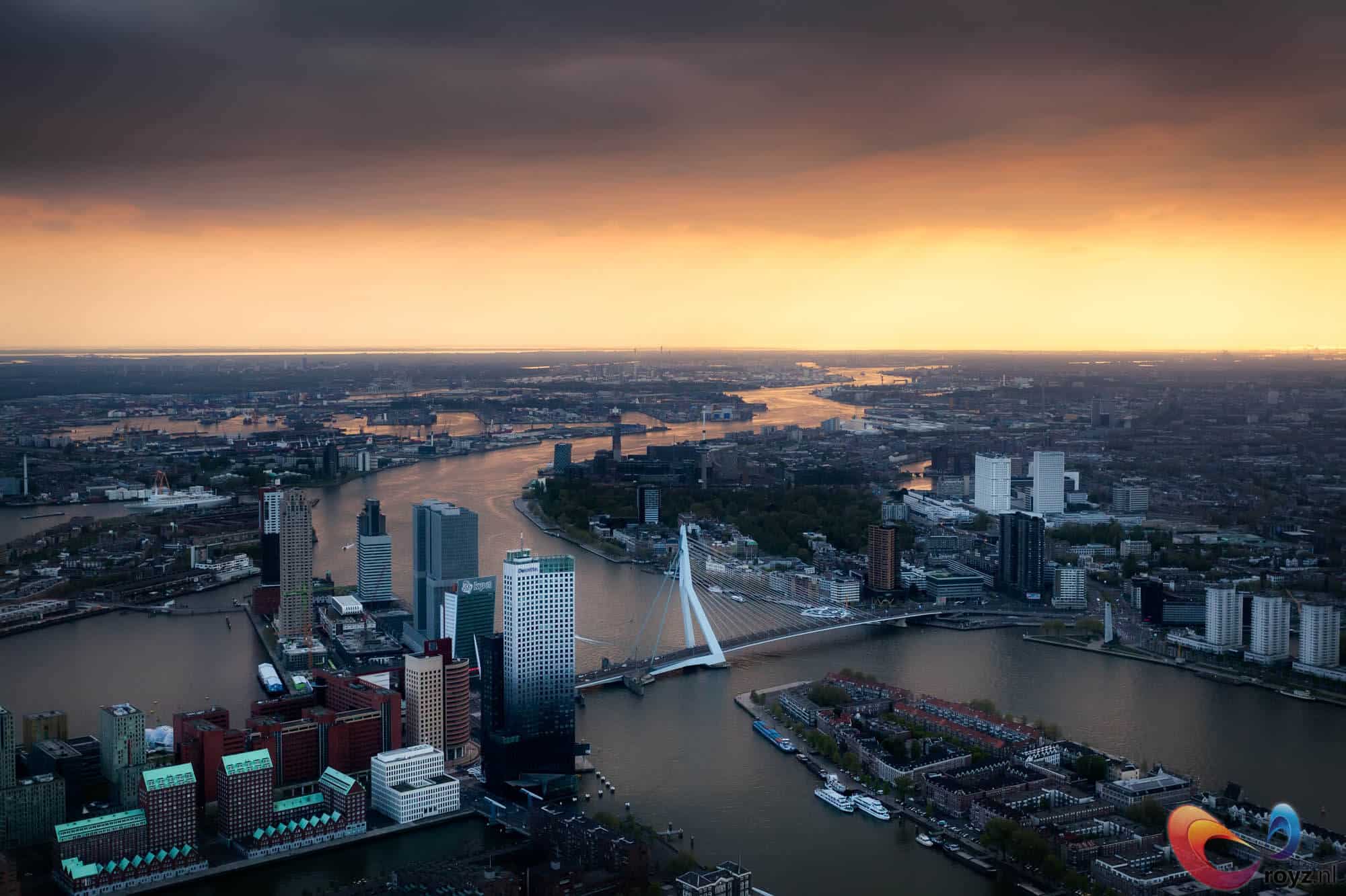 Zonsondergang boven Erasmusbrug en Rotterdamse skyline met bronzen rivierreflecties.