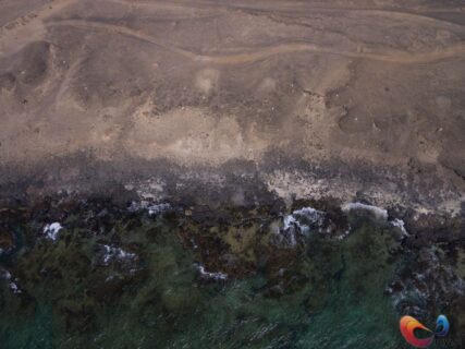 Gezelligheid tussen de vulkaan landschappen in Fuerteventura