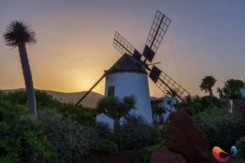 Gezelligheid tussen de vulkaan landschappen in Fuerteventura