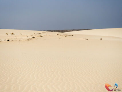 Gezelligheid tussen de vulkaan landschappen in Fuerteventura