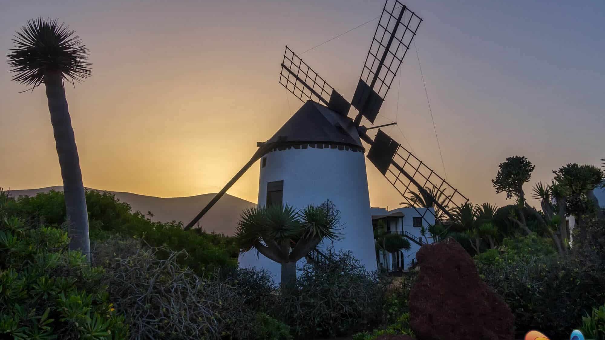 Gezelligheid tussen de vulkaan landschappen in Fuerteventura
