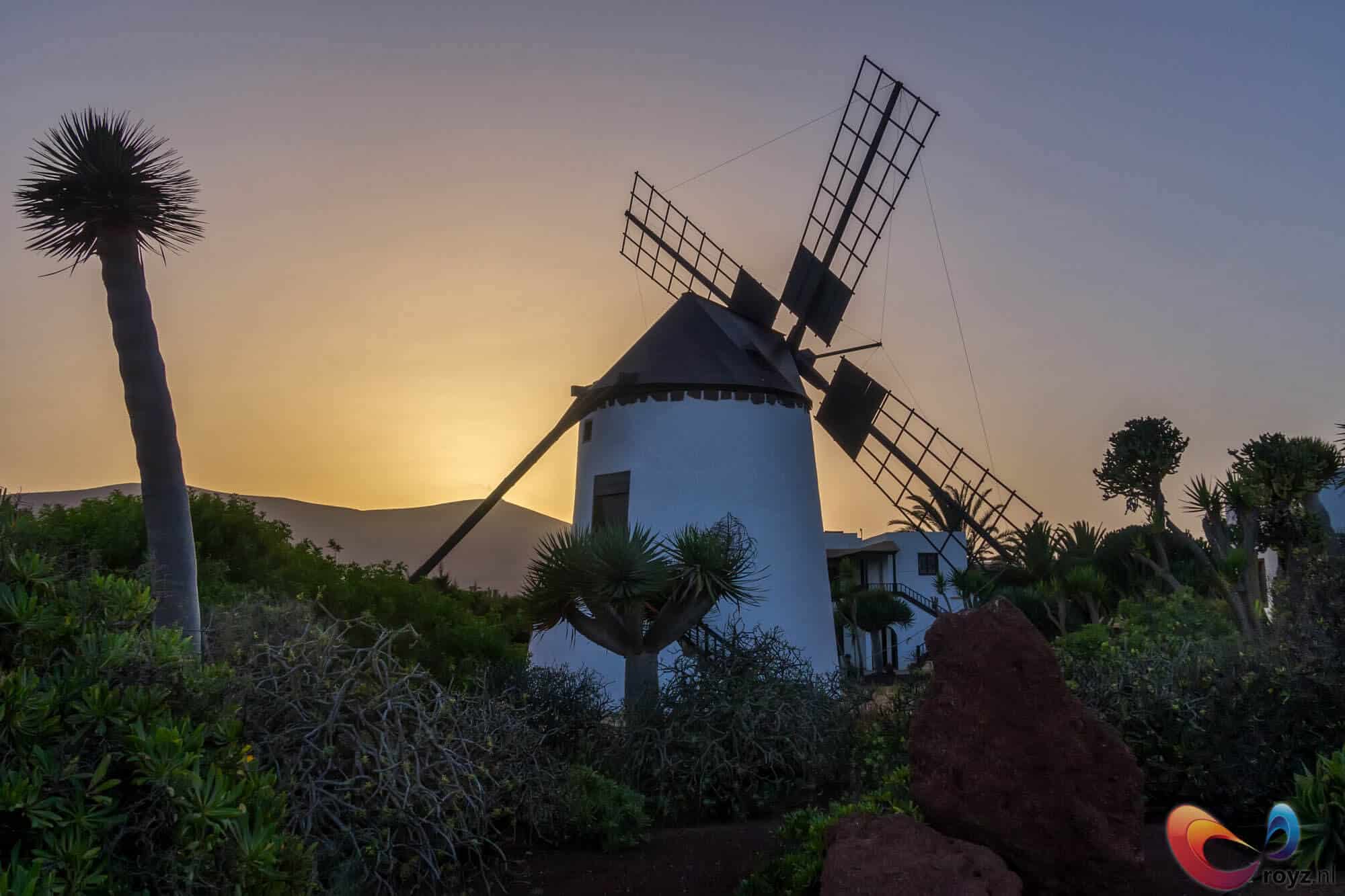 Gezelligheid tussen de vulkaan landschappen in Fuerteventura